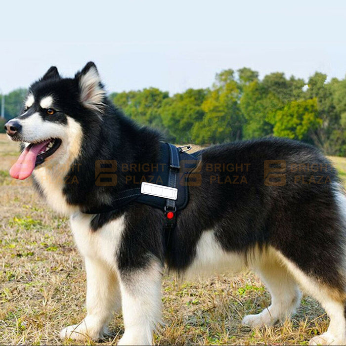 Reflective Adjustable Pet Puppy Dog Harness Support Padded Heavy Duty No Pull