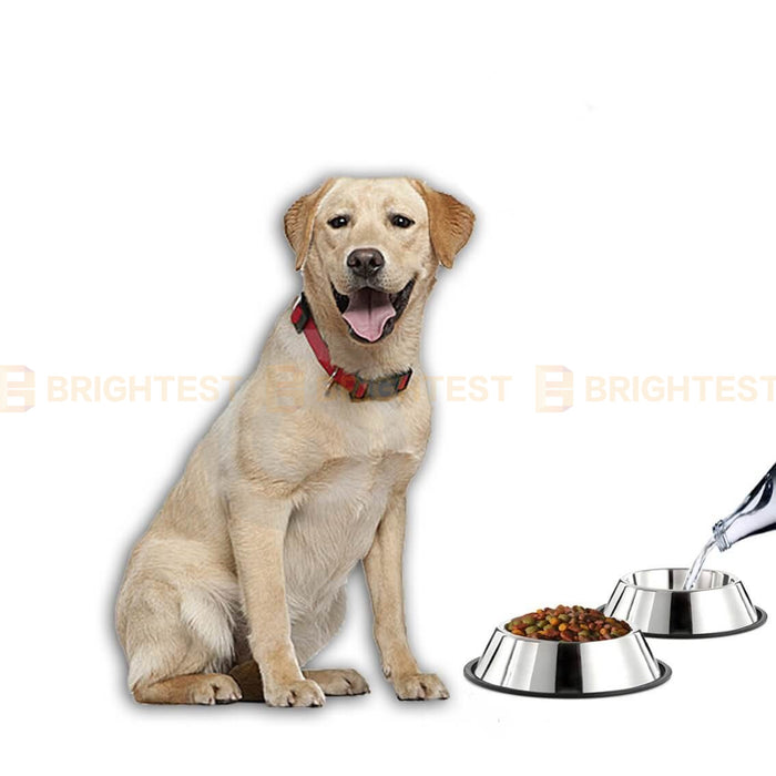 Stainless Steel Pet Bowl Water Bowls Portable Anti Slip Skid Feeder Dog Cat Plain